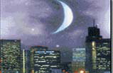 Universal Studios + L.A. by Night Tour